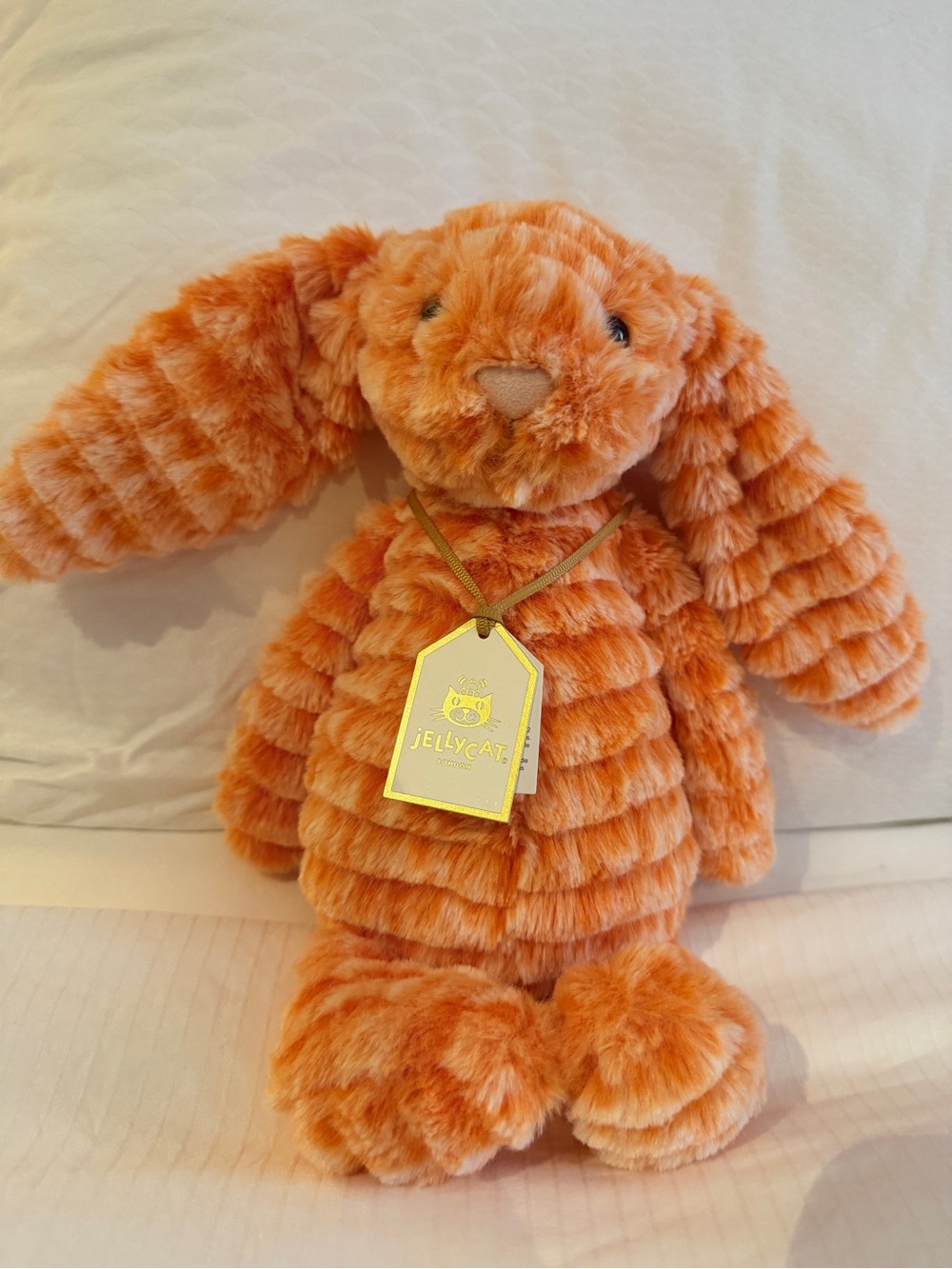 Jellycat Fizzleskip Bunny - Independent EU and UK Stores Only